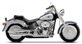 2001 Harley-Davidson Fat Boy Injection photo